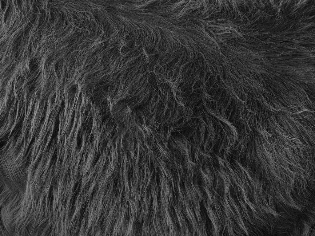 Szkocki płaszcz góralski w kolorze czarno-białym