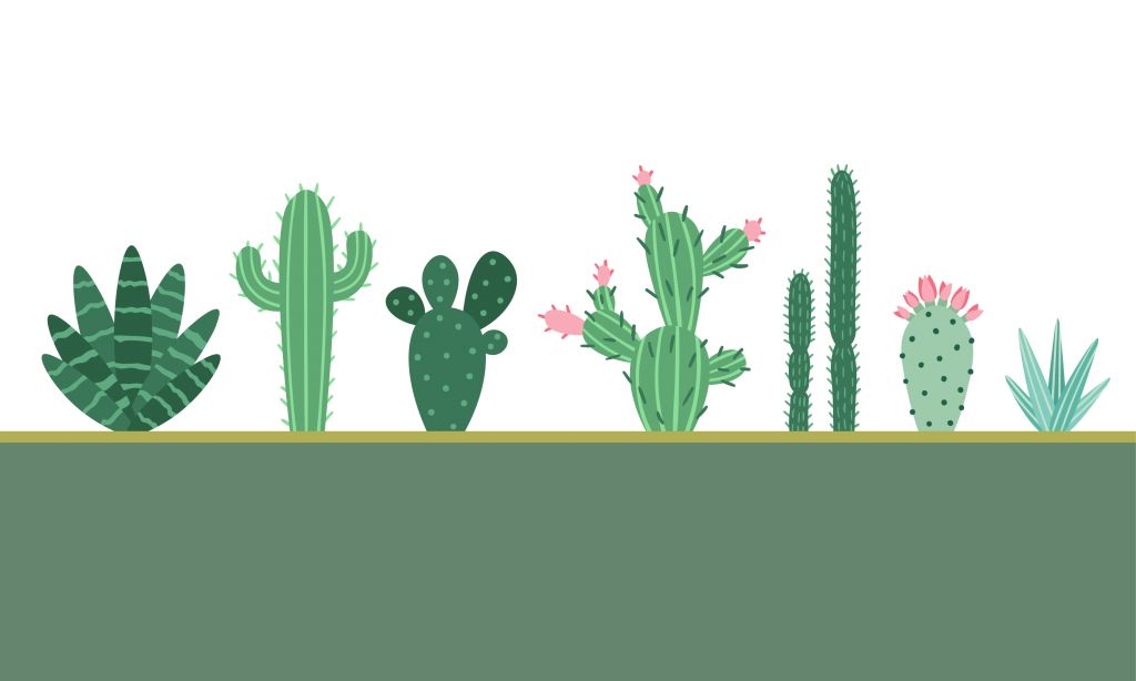 Zielony obszar z kaktusami