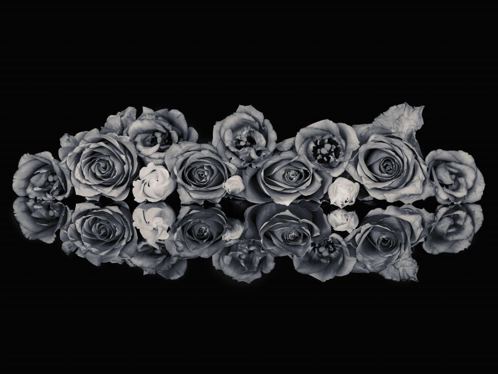 Bukiet róż czarny i biały