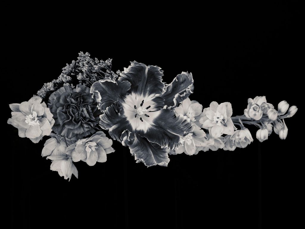 Bukiet czarno-białych kwiatów