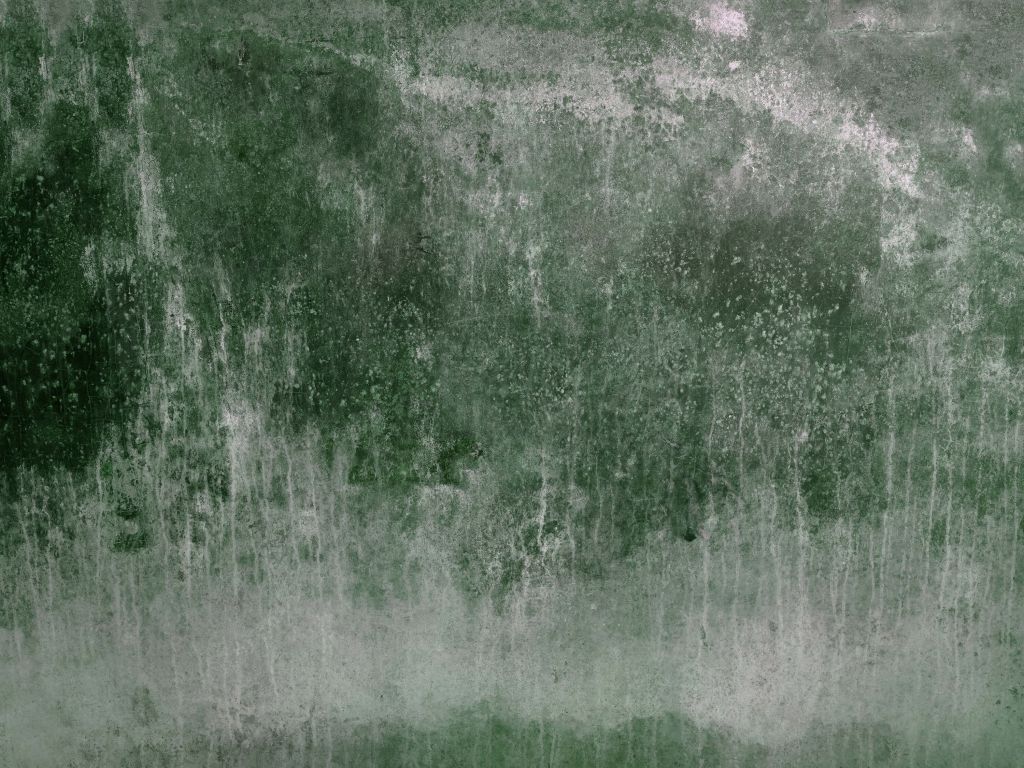 Stara, zwietrzała zielona ściana