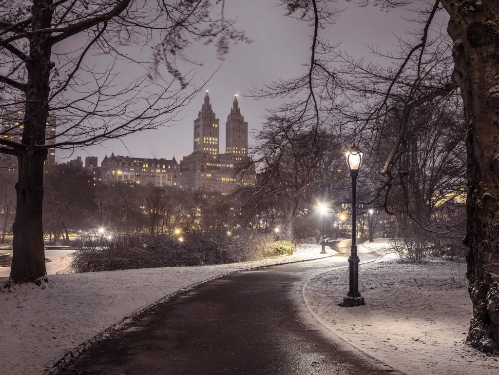Central Park pokryty śniegiem