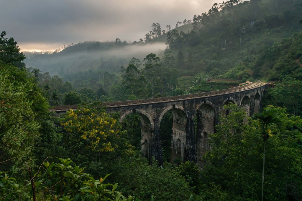 Most kolejowy przez dżunglę