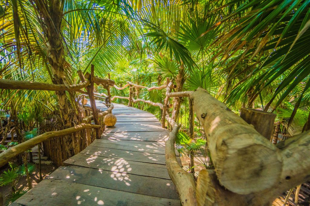 Most w tropikalnej dżungli