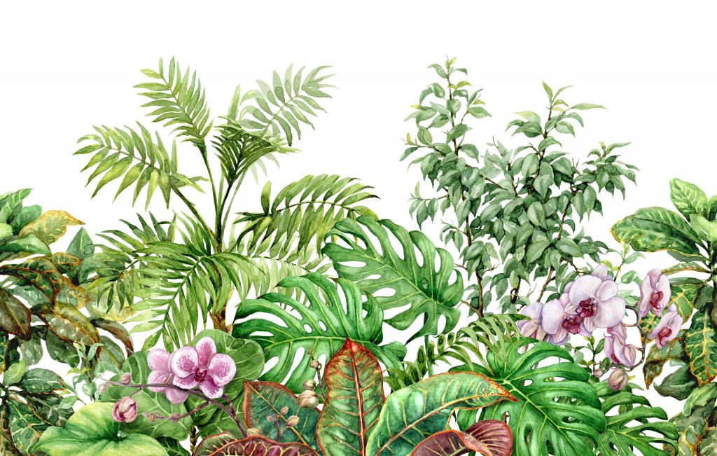 Tropikalne rośliny w akwareli