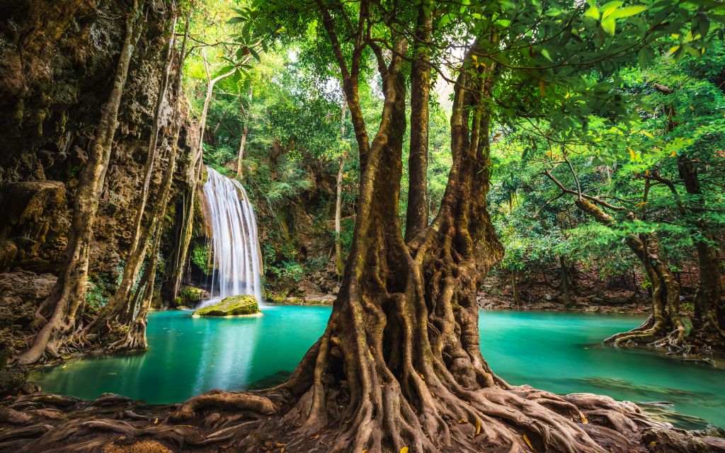 Wodospad w tropikalnej dżungli