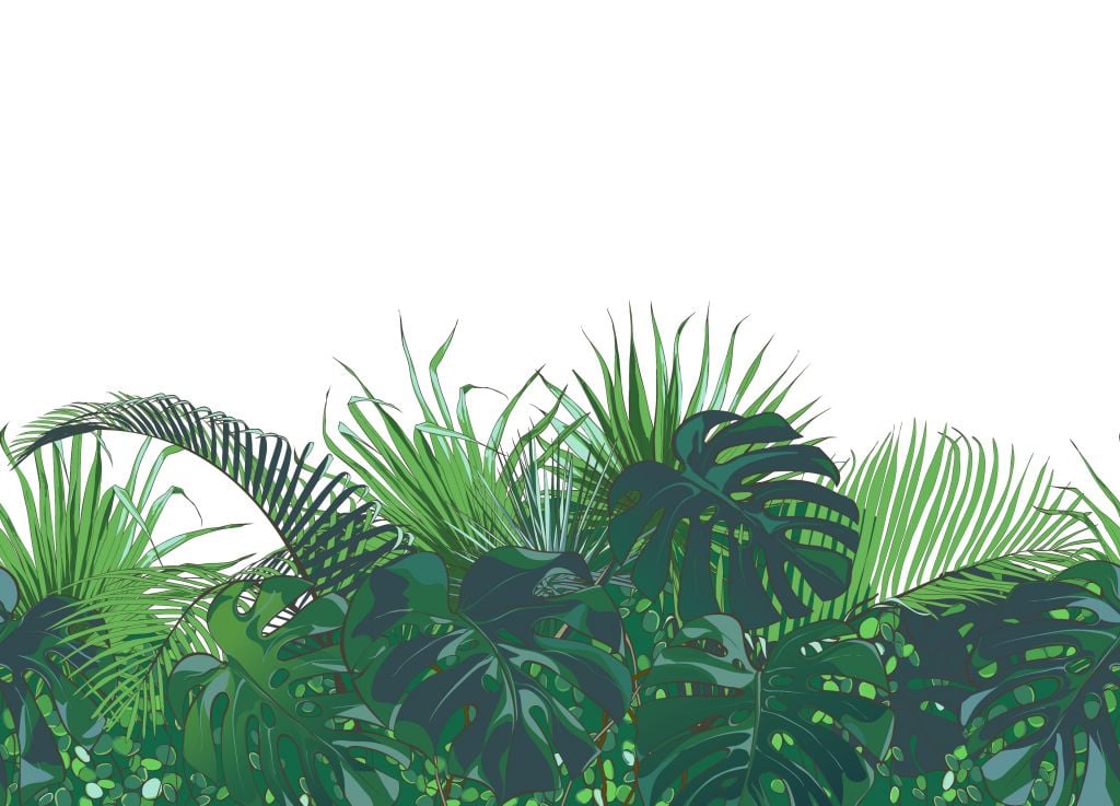 Palmy tropikalne