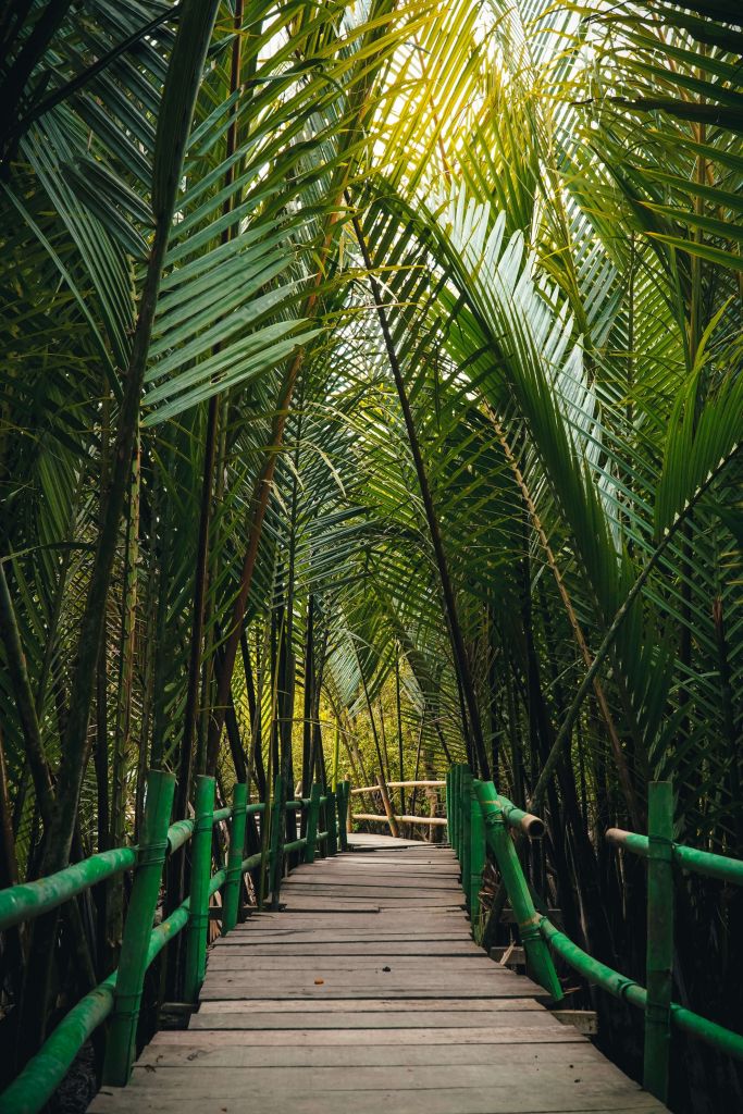 Bambusowy mostek