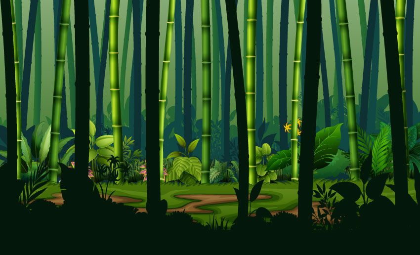 Dżungla z drzewami bambusowymi
