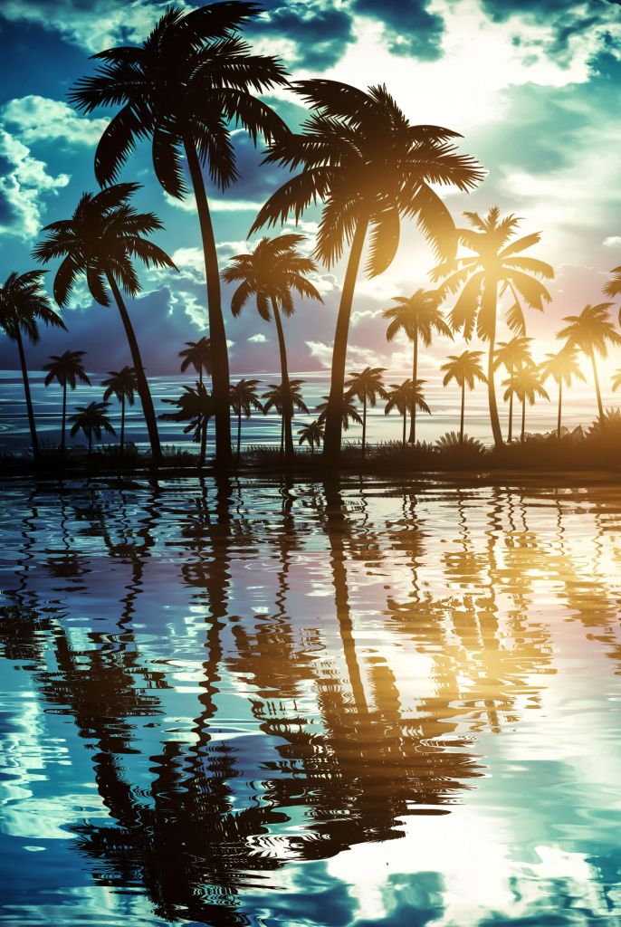 Nocny krajobraz z palmami