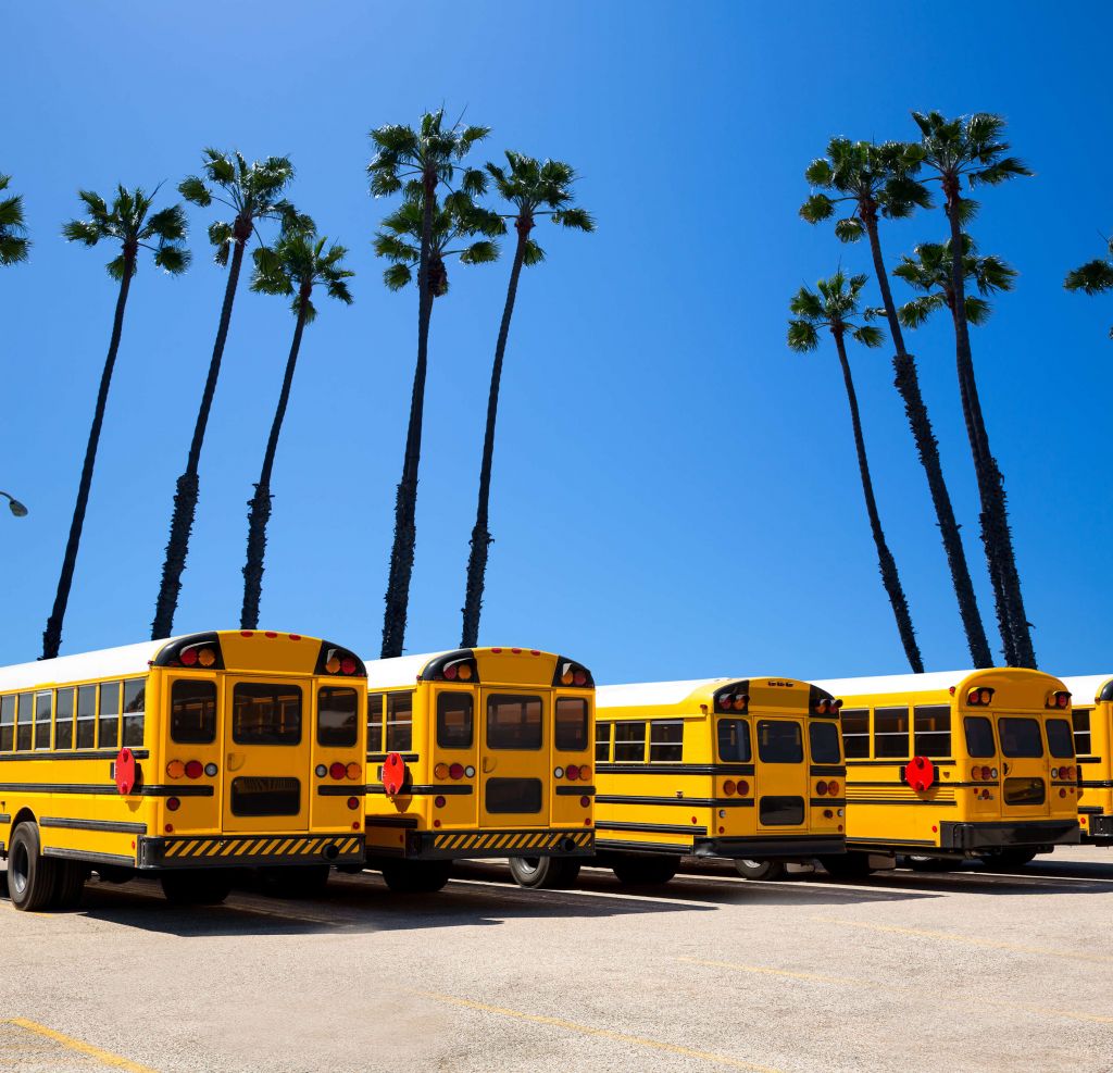 Autobusy szkolne przy palmach