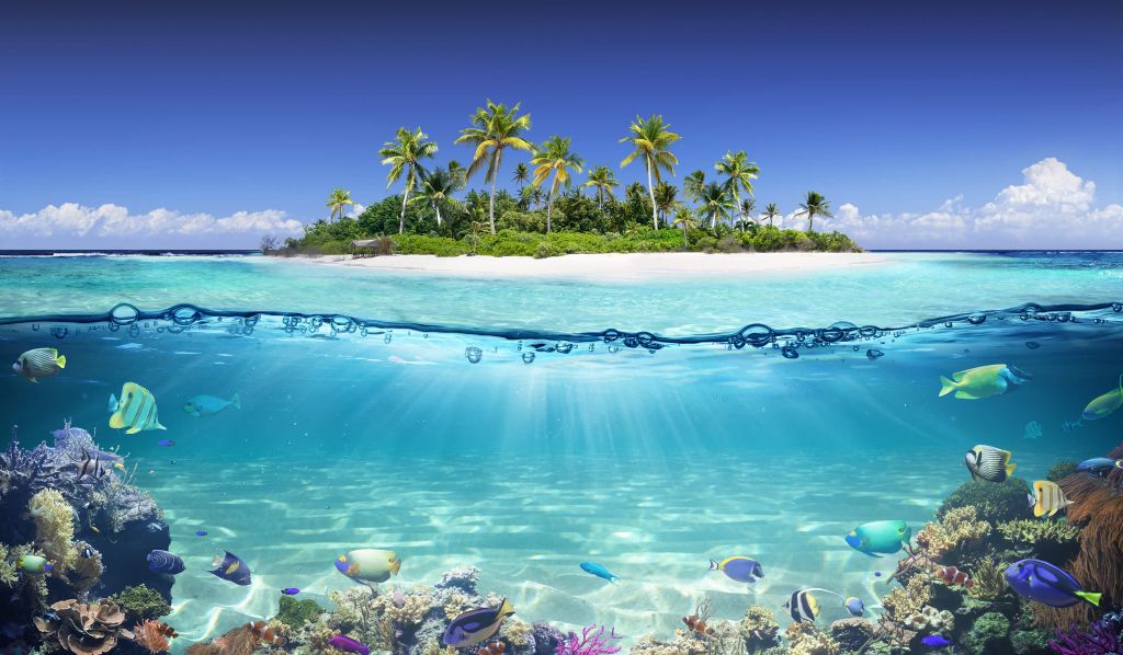 Tropikalna wyspa i rafa koralowa