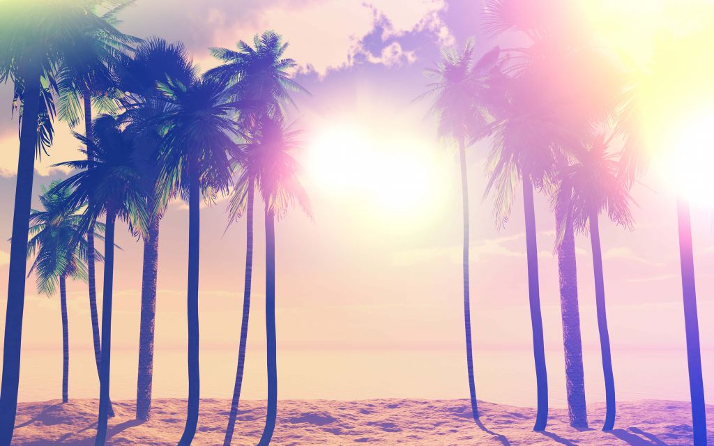 Vintage palmy i ocean