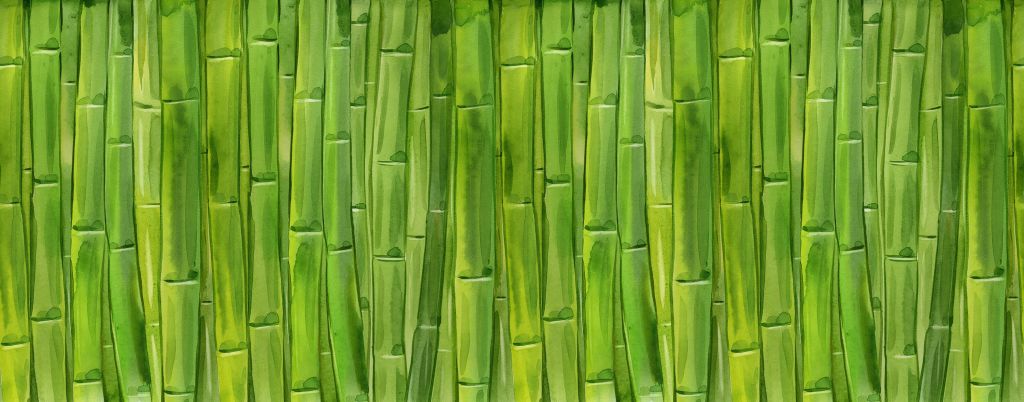 Bambus akwarelowy