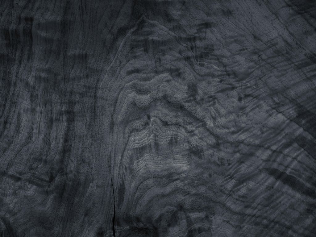 Struktura drewna szarego