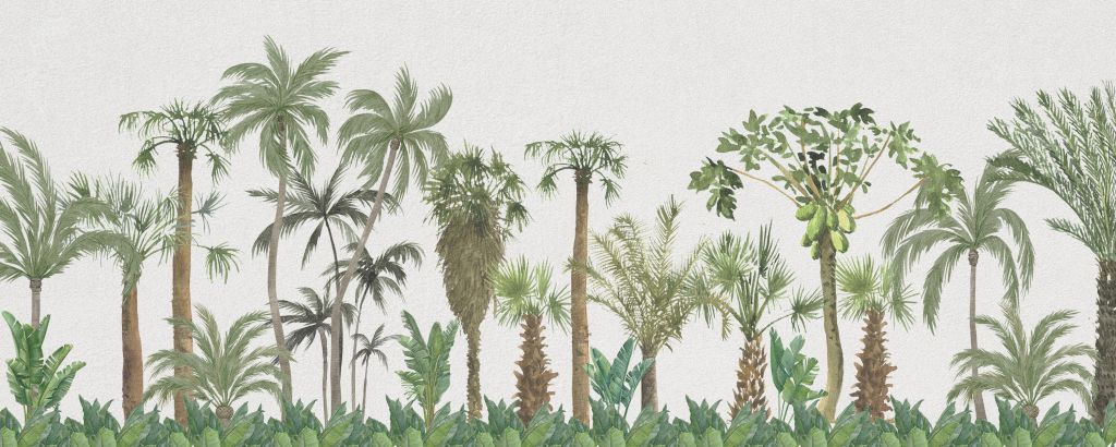 Tropikalne drzewa i rośliny