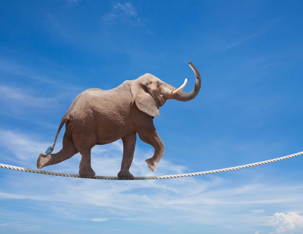 Równoważenie słonia