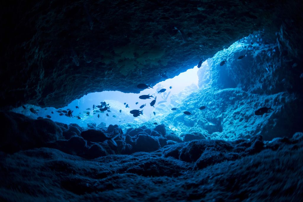 Wąska jaskinia z rybami