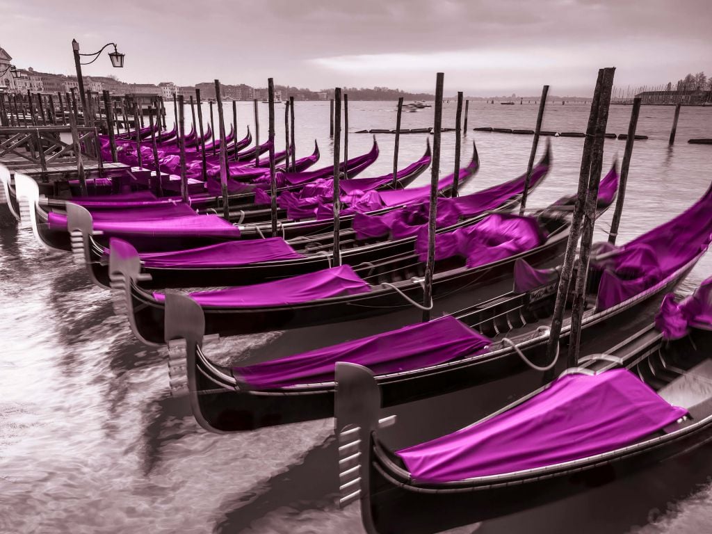 Purpurowe łodzie