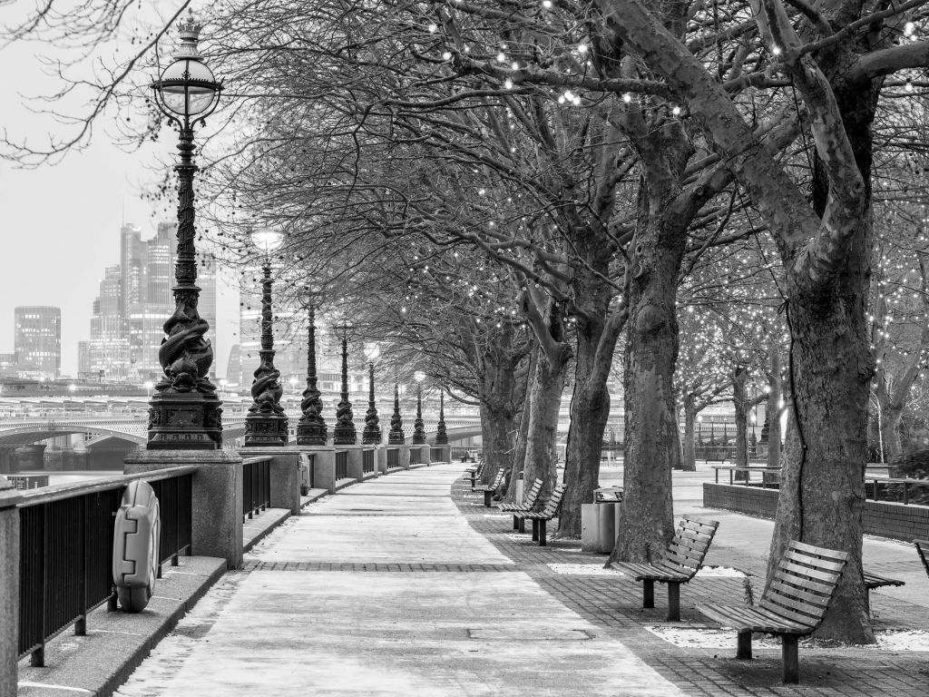 Park w Londynie
