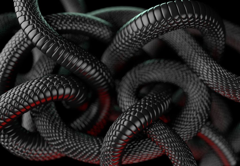 Czarne węże