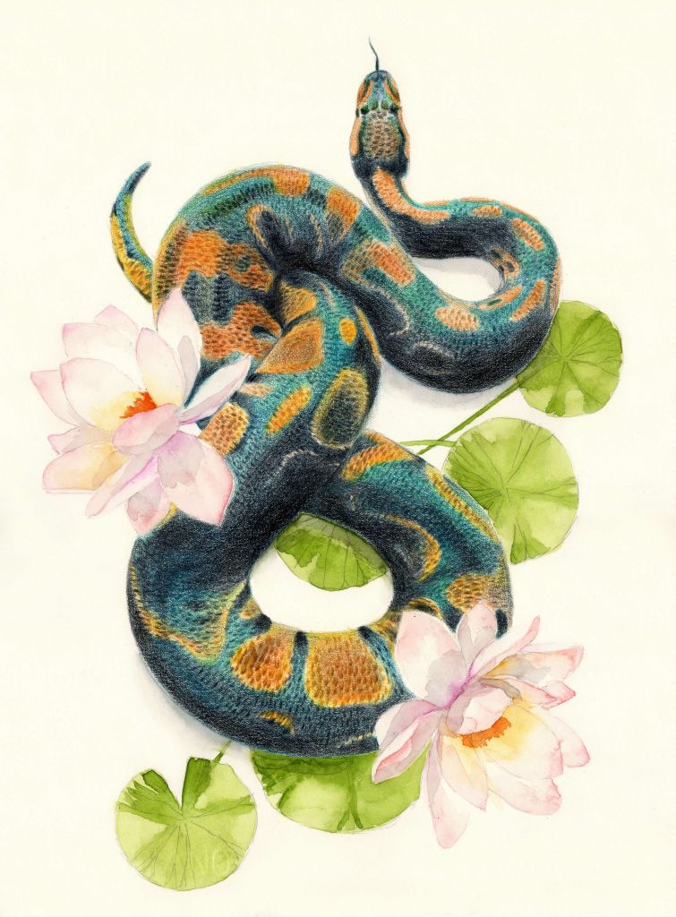 Wąż w kolorze wody
