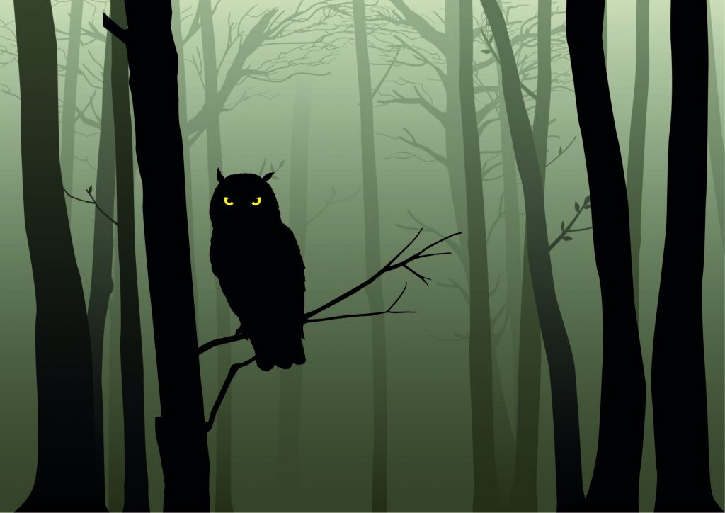 Ilustrowana sowa w ciemnym lesie