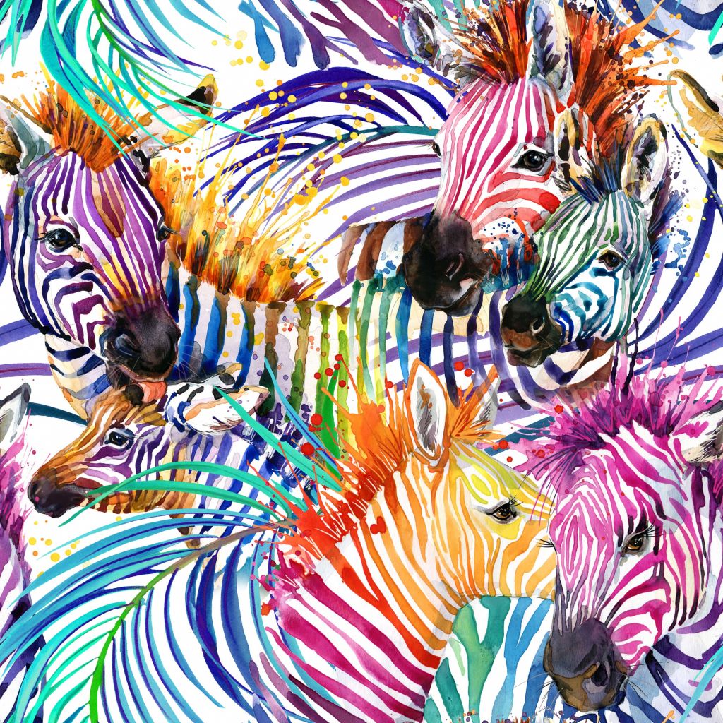 Kolorowe zebry