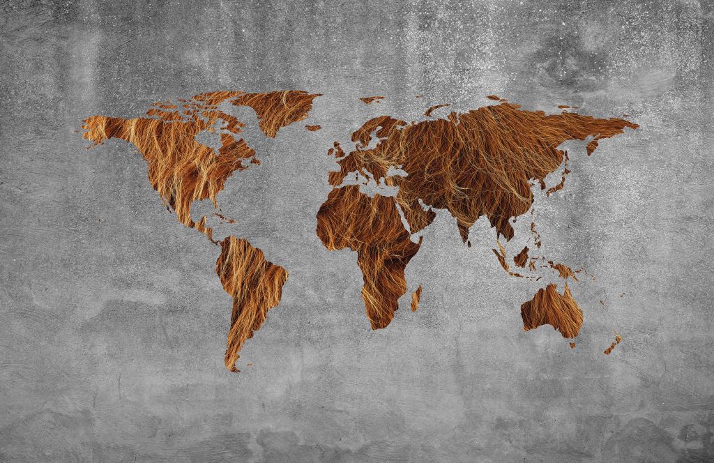 Mapa świata z strukturą futra