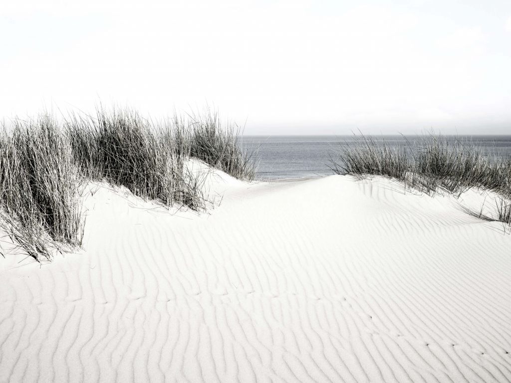 Przejście z wydmy na plażę czarno-białe