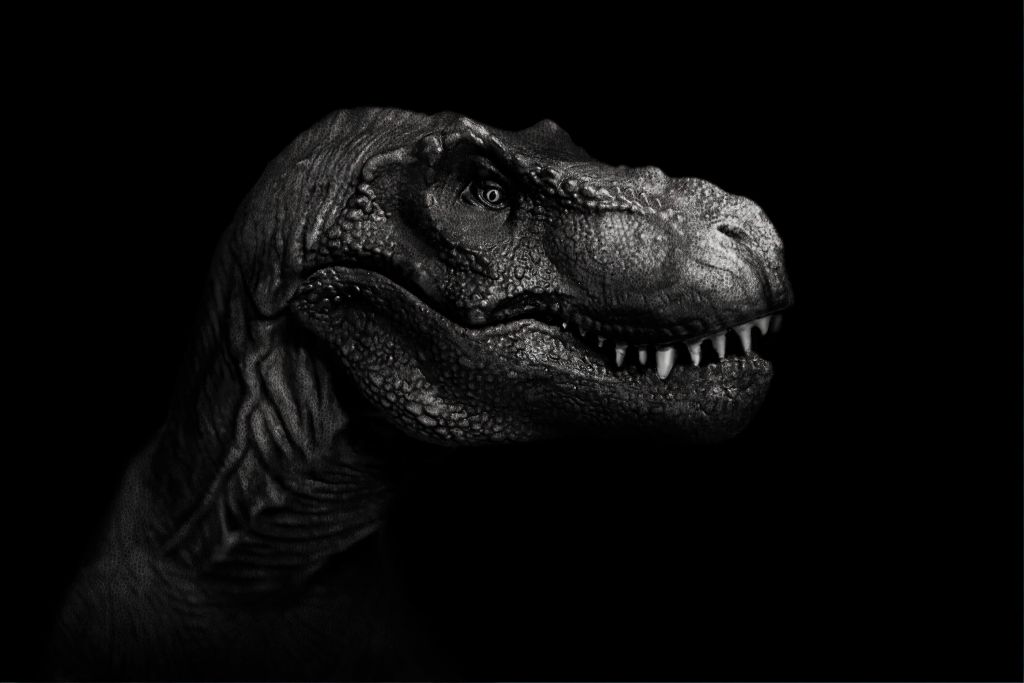 Zbliżenie na Tyranozaura Rexa