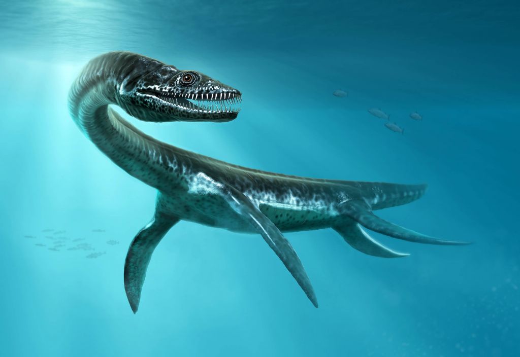 Dinozaur mórz