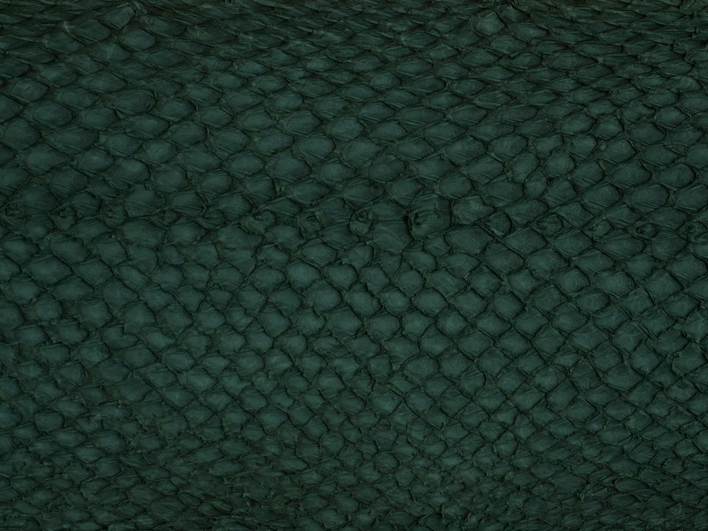 Tekstura skóry łososia w kolorze zielonym