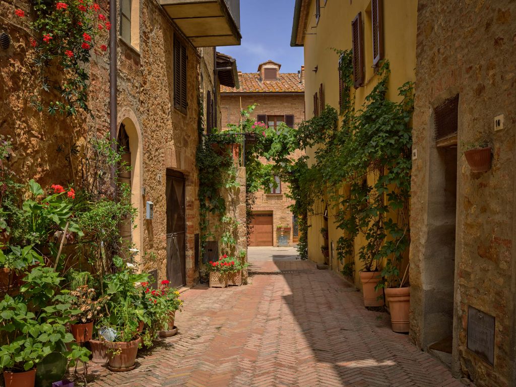 Włoska ulica z roślinami