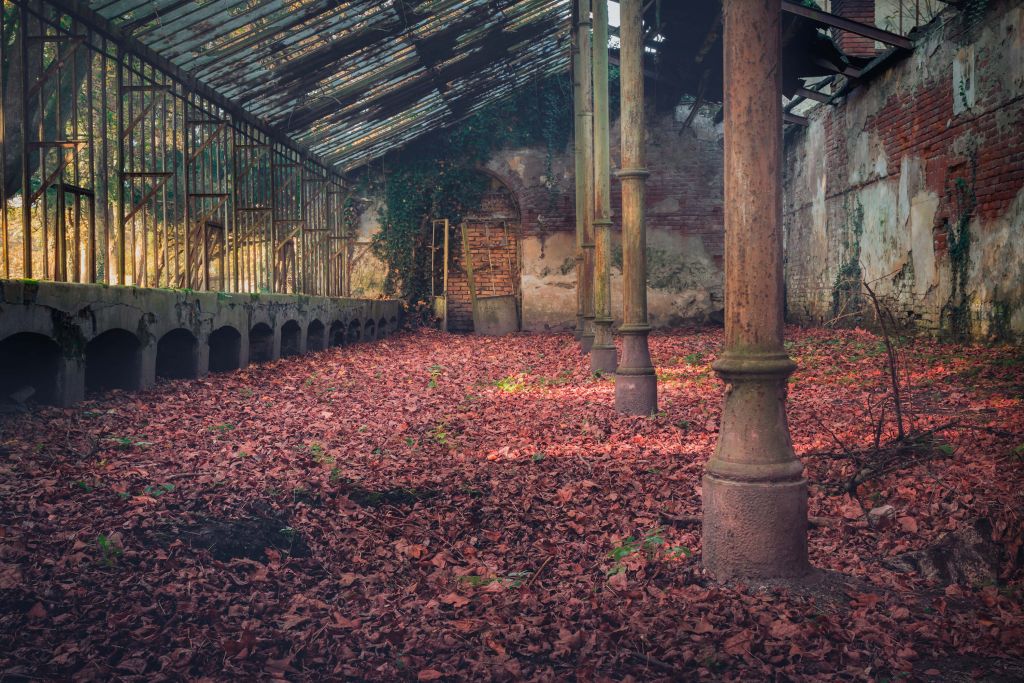 Opuszczony dom z liśćmi