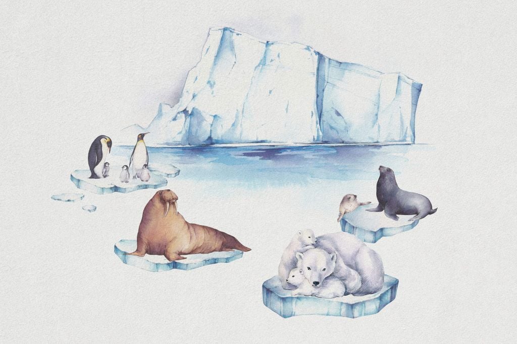 Zwierzęta świata lodu