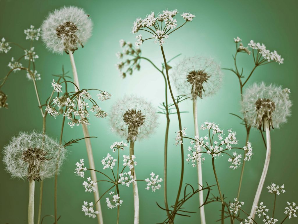 Łąka fantazyjna zielona