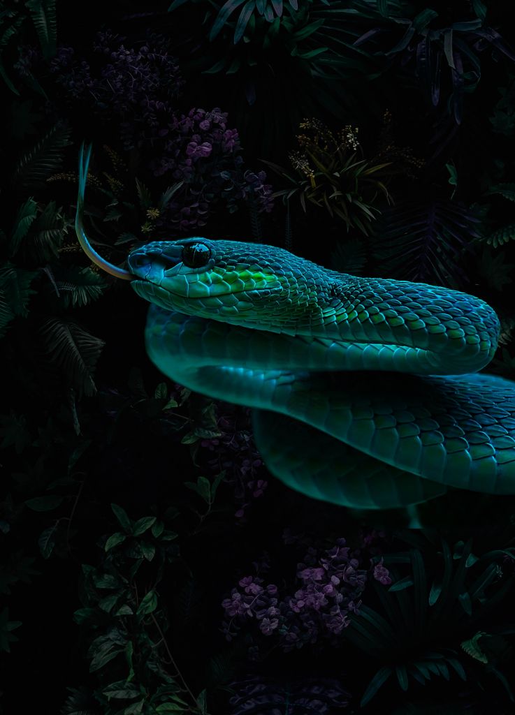 Jungle Snake Portret