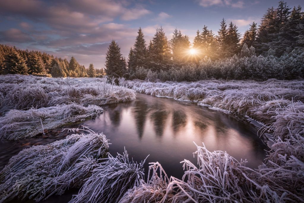 Frosty morning at the creek...