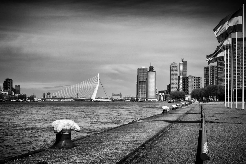 Światowe miasto portowe Rotterdam 