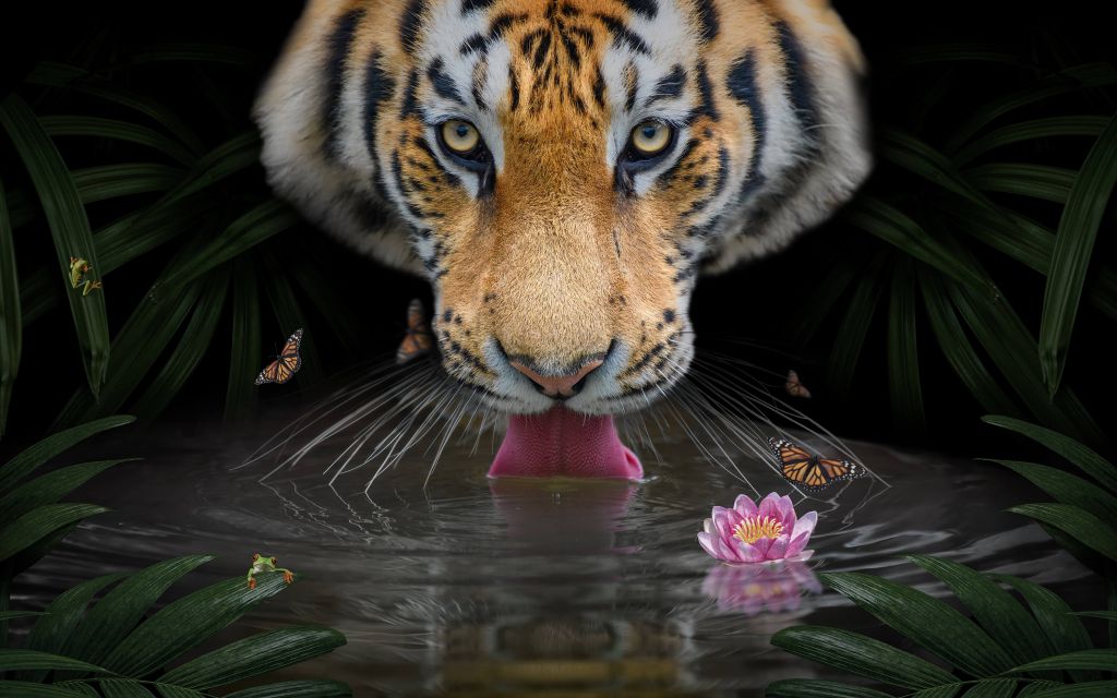 Tygrys dżungli