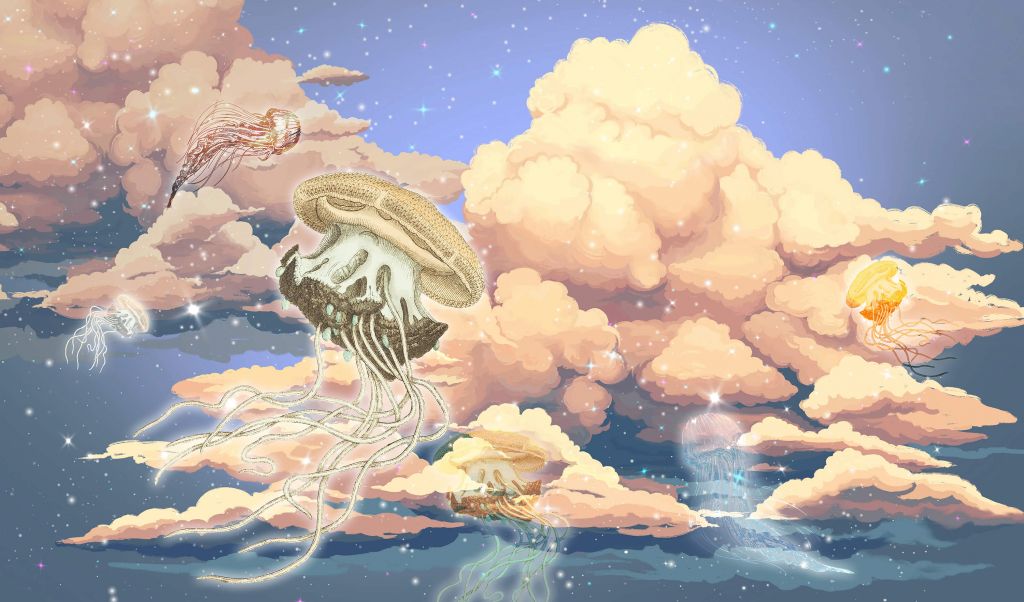 Meduza w chmurach