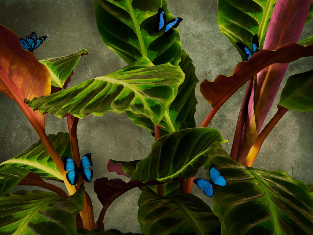 Zielona roślina z motylami