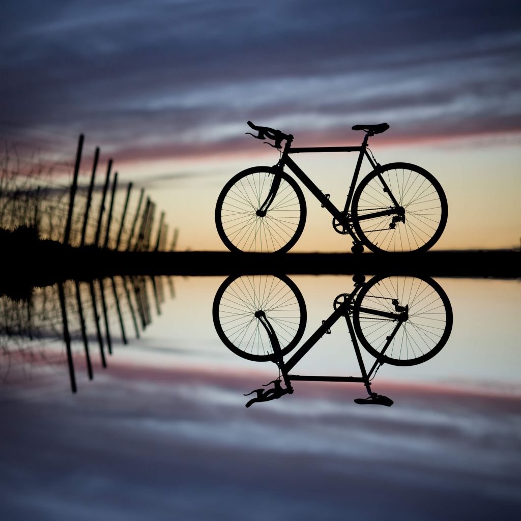 Rower wyścigowy przy zachodzie słońca