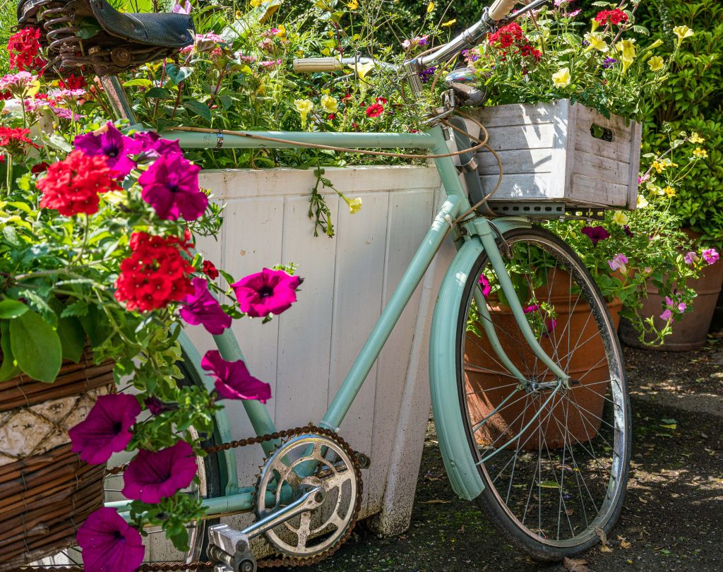 Stary rower z kwiatami
