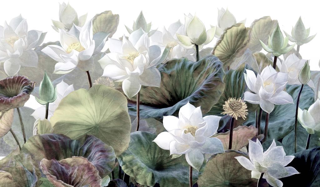 Malownicze kwiaty lotosu