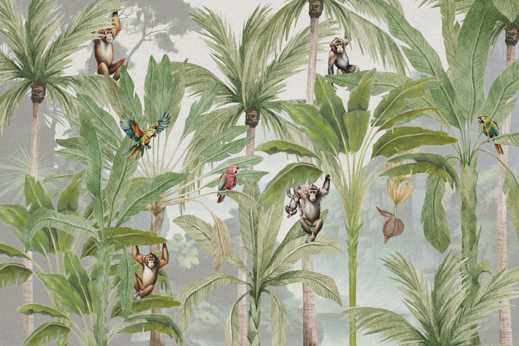 Dżungla z małpami i papugami w kolorze