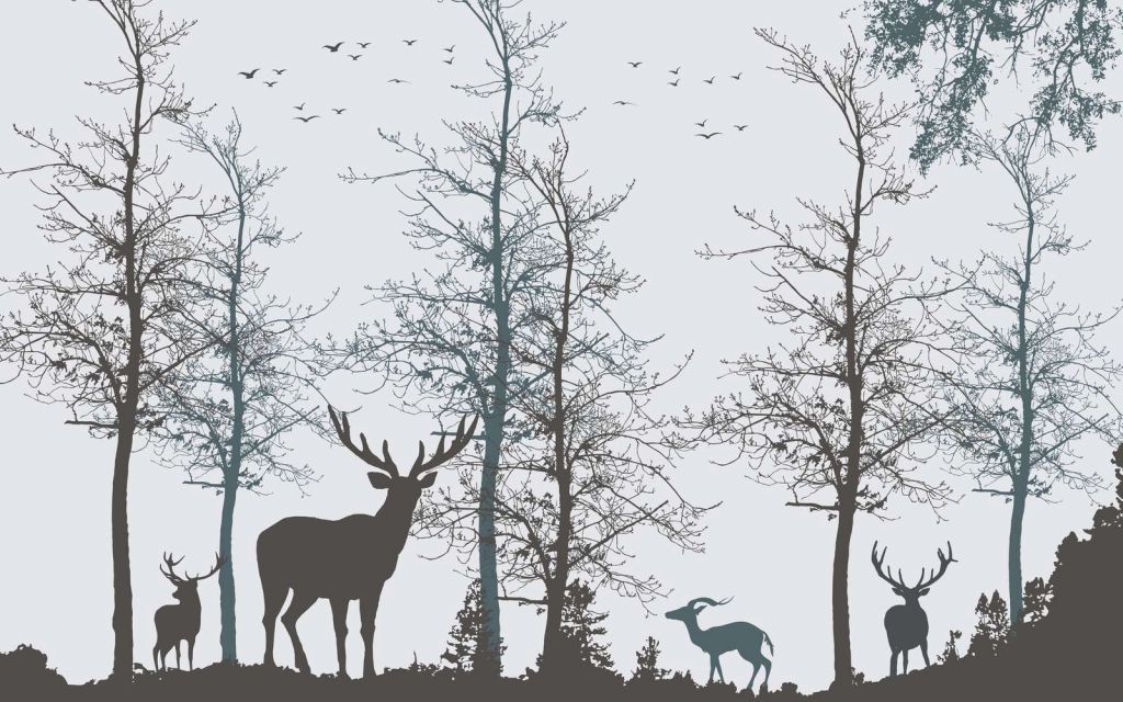 Kontur zimy Leśna cisza