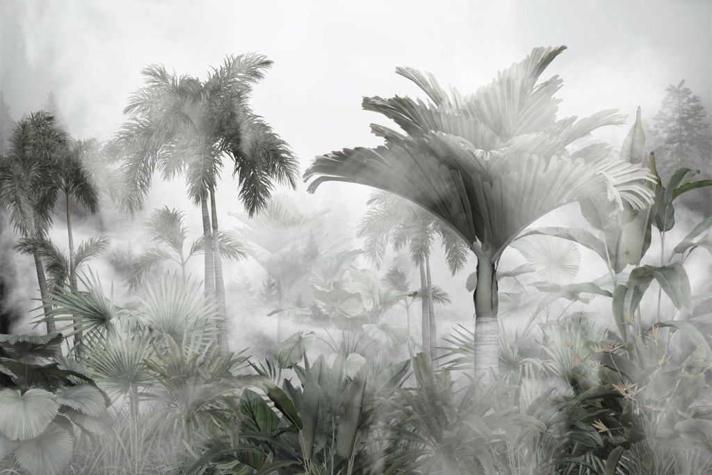 Monochromatyczna Mgła Dżungli