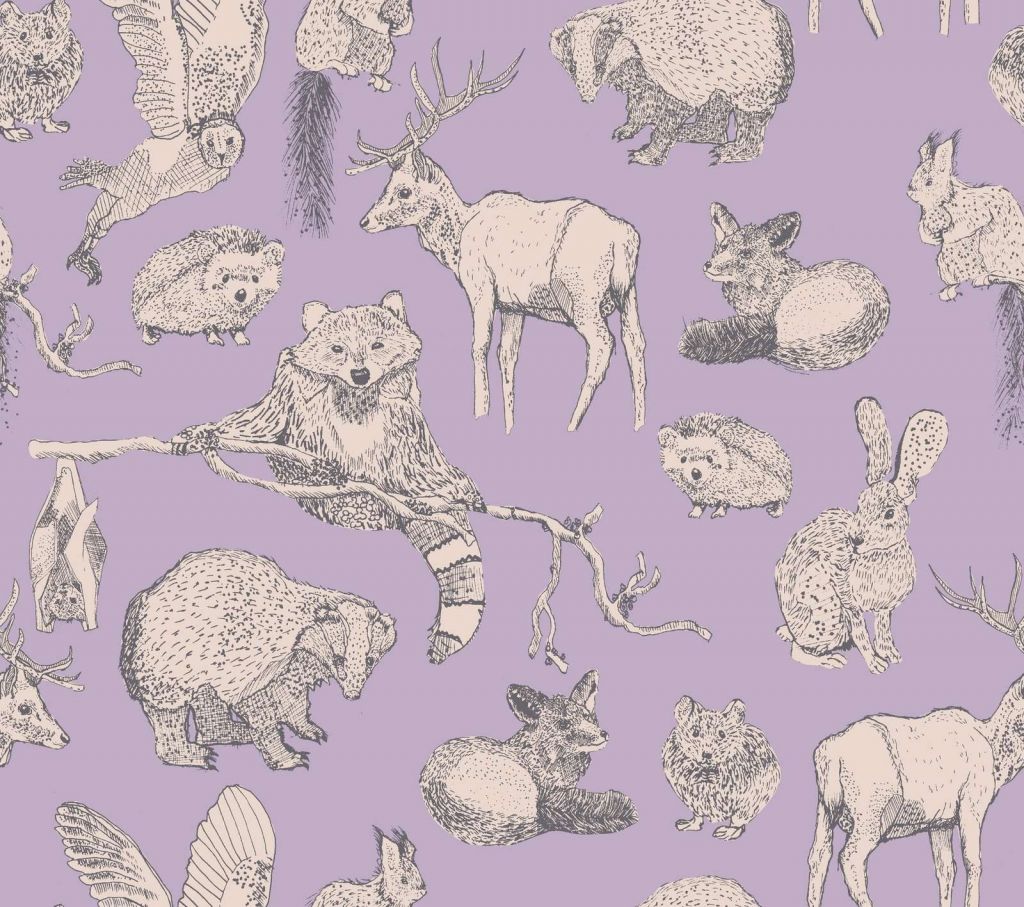 Przyjaciele Lasu Lila